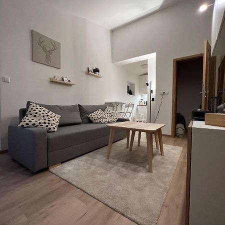 Apartman U Potoka Dolní Morava Exterior foto